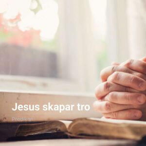Predikan