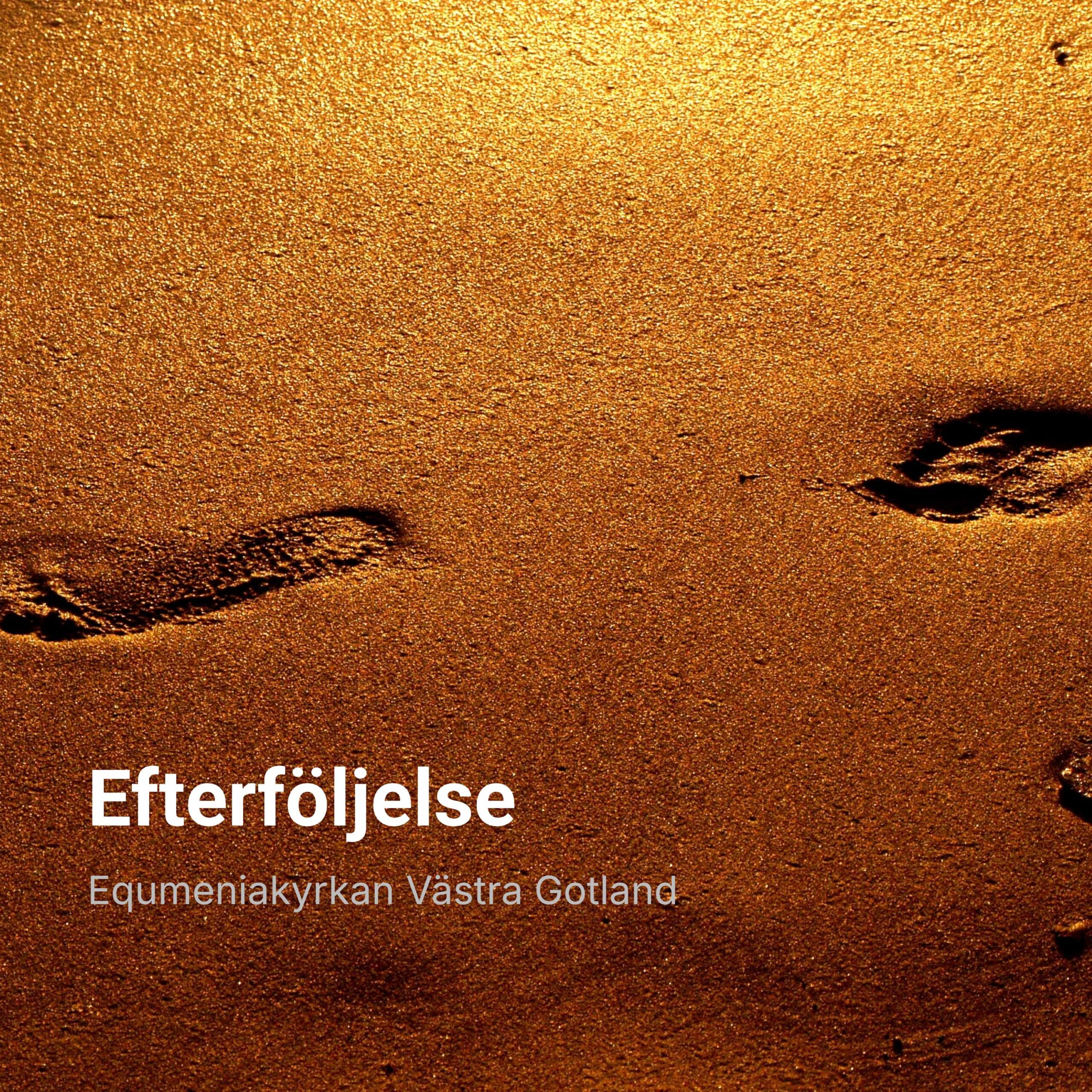 Efterföljelse episode artwork